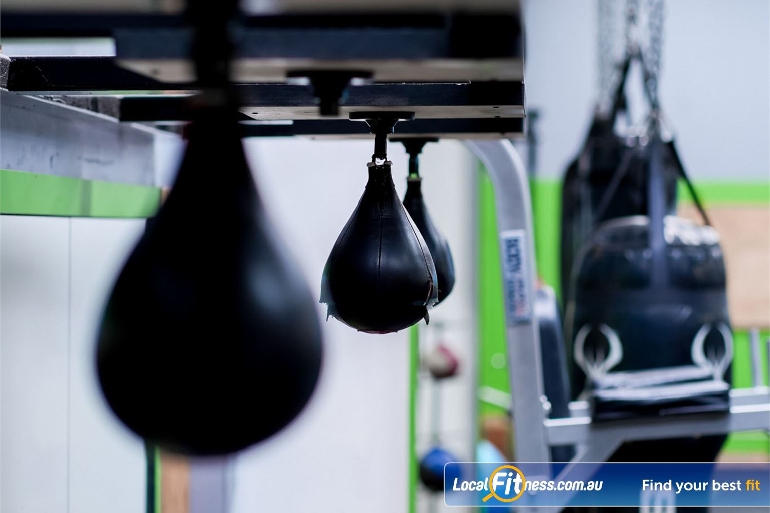Westgate Health Club Near Brooklyn Our Westgate Health Club includes a fully equipped boxing space.