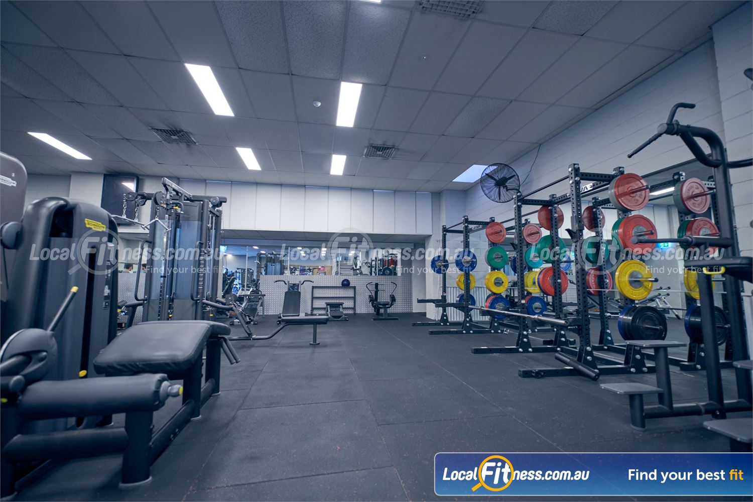 Genesis Health + Fitness Dandenong Multiple lifting racks in our fully equipped Dandenong gym.
