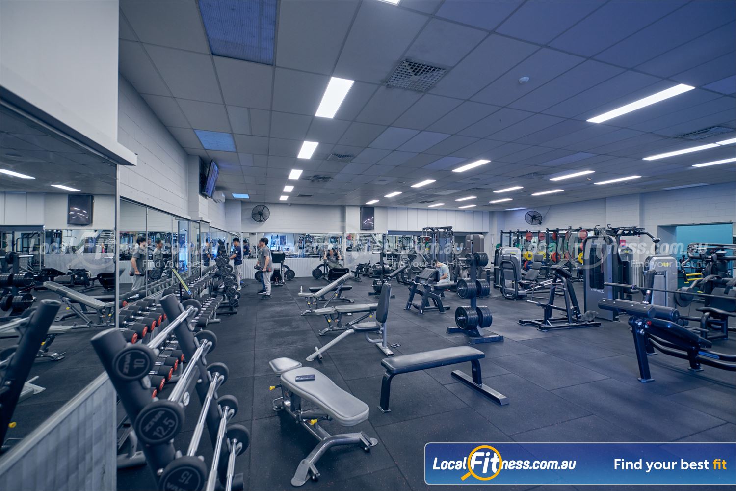 Genesis Health + Fitness Near Endeavour Hills Our free-weights area is fully equipped with barbells, dumbbells, benches and more.