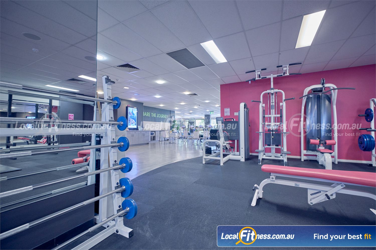 Fernwood Fitness St Kilda The strength training area at Fernwood St Kilda gym.