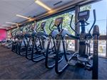 Fernwood Fitness St Kilda Ladies Gym Fitness Rows of cardio machines so you