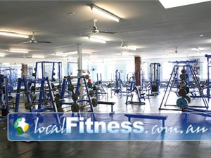 Body World Gym St Kilda East  | The our famous free-weights arena at Bodyworld Balaclava.