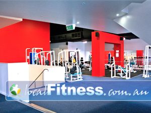Re-Creation Health Clubs Gym Caulfield South  | A extensive range of strength training equipment.