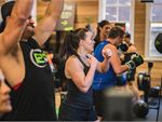 12 Round Fitness Palm Beach Gym Fitness Our Palm Beach gym is fully