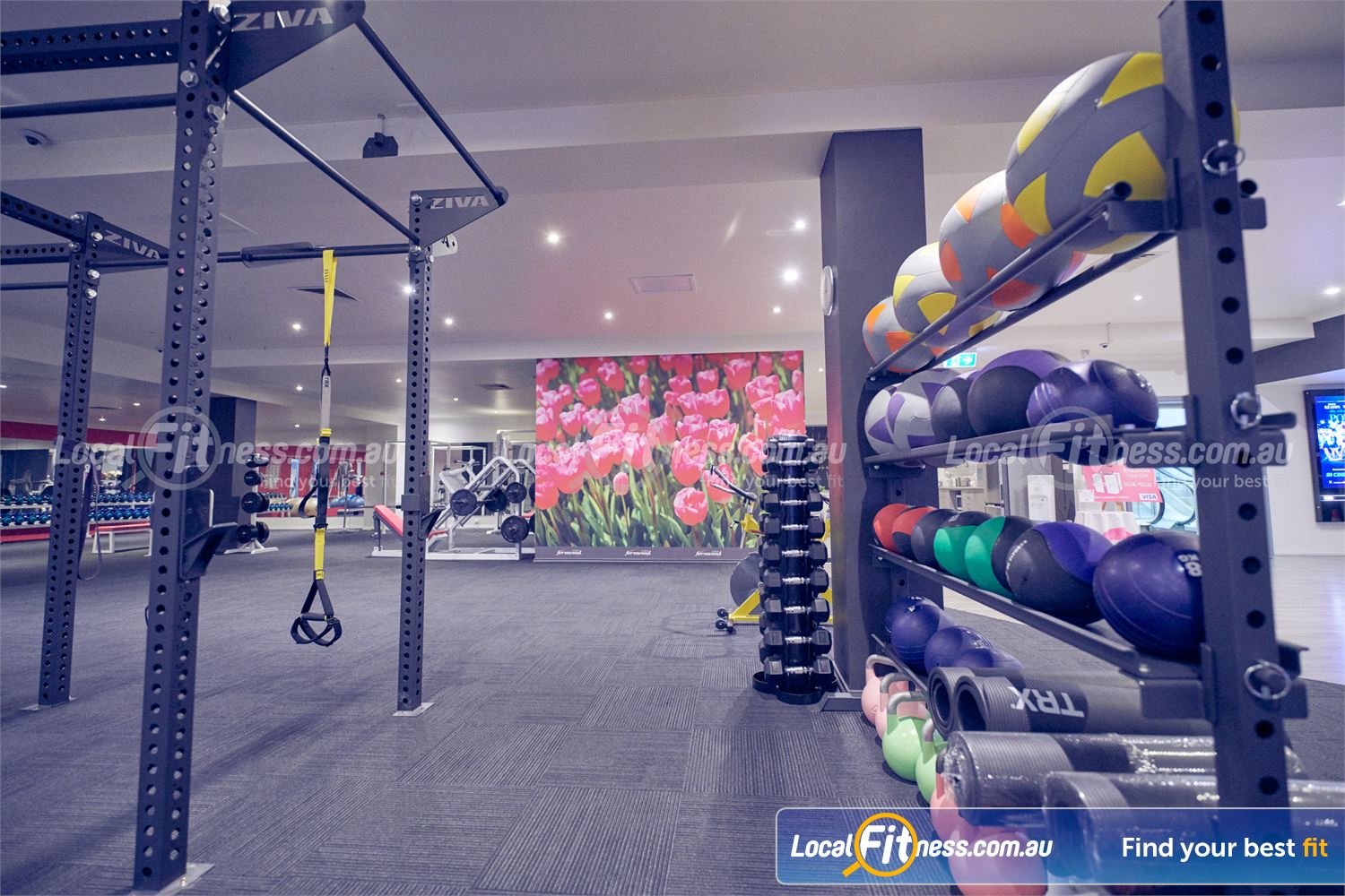 Fernwood Fitness Bulleen Our functional area includes kettlebells, TRX, wall balls and more.