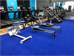 Surge Fitness 24/7 Greenwood 24 Hour Gym Fitness Dedicated cardio area includes