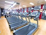 PCYC Newtown Gym Fitness Rows of cardio machines so you
