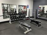 Our Carlton gym is fully equipped for strength.