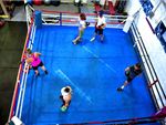 Mischa's Boxing Central Footscray Gym Fitness Our Footscray boxing gym