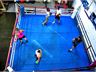 Mischa's Boxing Central Footscray Our Footscray boxing gym includes a full size boxing ring.