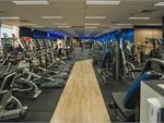 Genesis Health + Fitness Belmont Gym Fitness Rows and rows of cardio so you