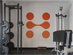 Healthspan Collective Allambie Heights 24 Hour Gym Fitness Healthspan Collective has