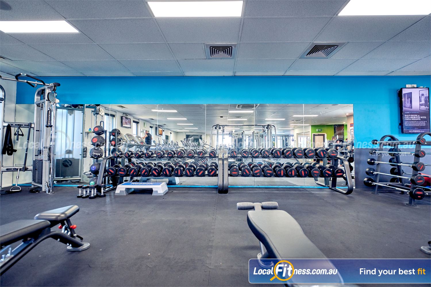 6 Degrees South Health & Fitness Elsternwick The fully equipped free-weights area in our Elsternwick gym.