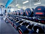 6 Degrees South Health & Fitness Gardenvale Gym Fitness Fully equipped free-weights