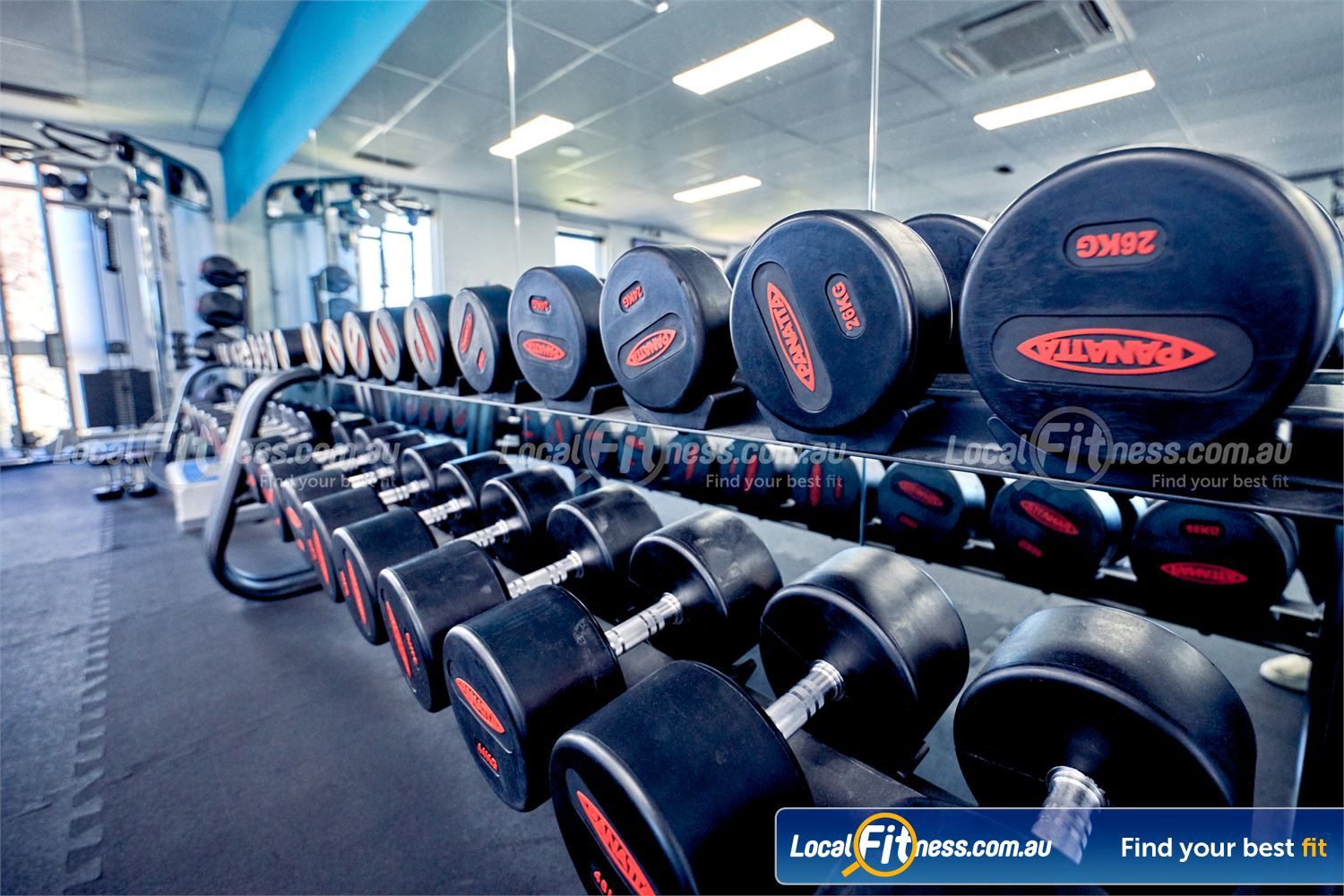 6 Degrees South Health & Fitness Near Gardenvale Fully equipped free-weights area include dumbbells for all levels.