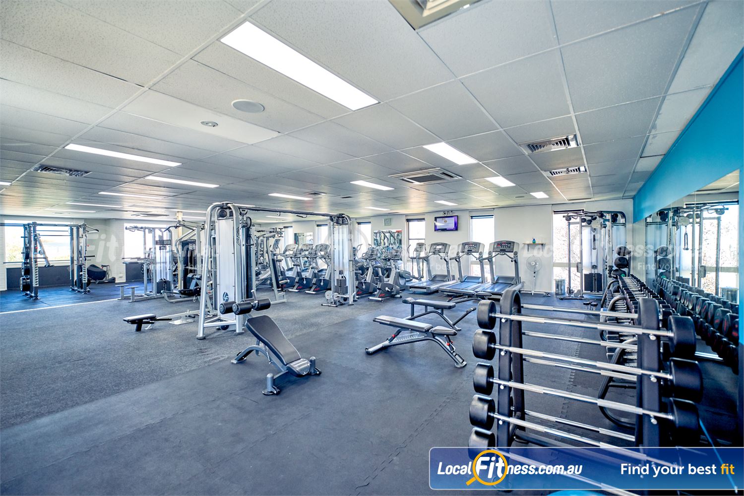 6 Degrees South Health & Fitness Elsternwick The boutique strength and free-weights area at 6 Degrees gym Elsternwick.