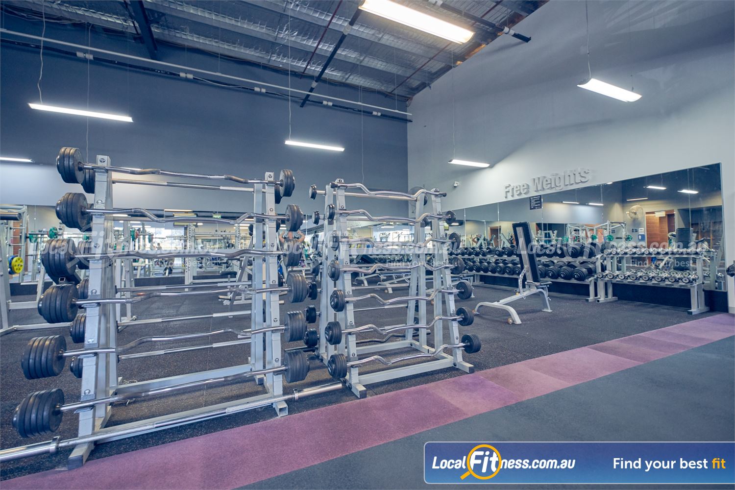 Element Fitness Health Club Near Mitcham Our free-weights area is fully equipped with barbells, dumbbells and more.