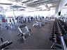 Genesis Health + Fitness Bundoora Our Bundoora gym provides a fully equipped free-weights area for strength.