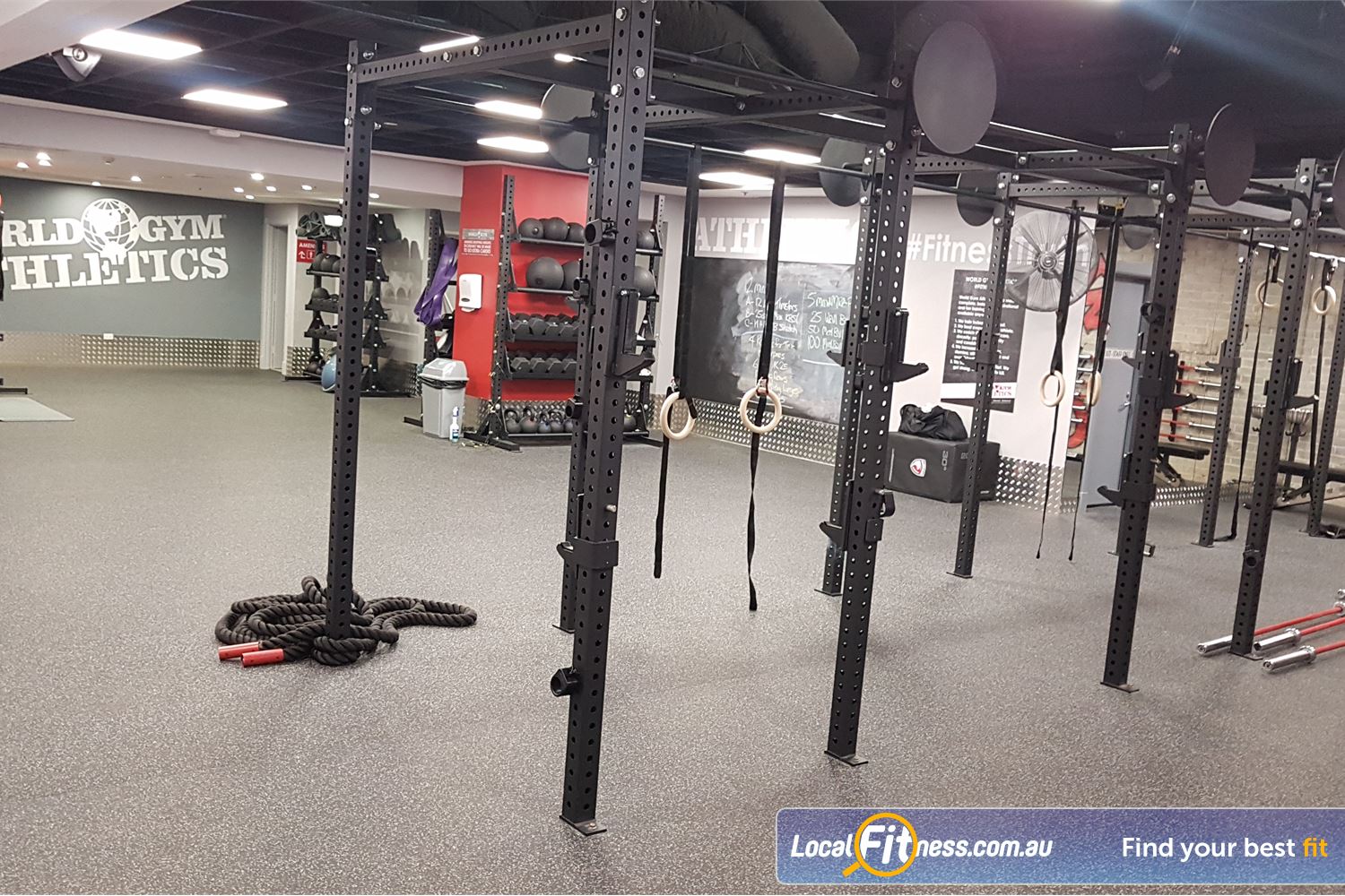World Gym Sydney The Calisthenics rig in our Sydney functional training area.