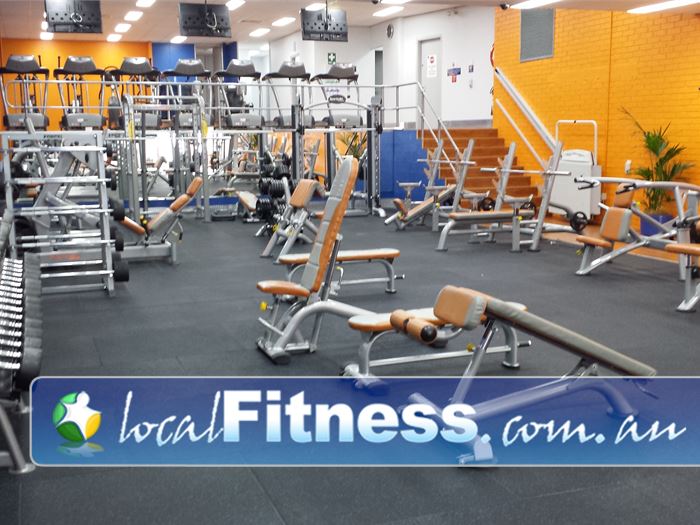Plus Fitness 24/7 Near Hillsdale Full range of plate loading machines, benches, barbells, dumbbells and more.