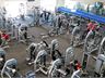 Genesis Health + Fitness Lawnton Welcome to the $1 million upgraded Lawnton gym. 