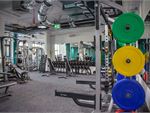 Our Rushcutters Bay personal trainers will design a