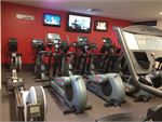 Equilibrium Health & Fitness Box Hill North Gym Fitness Enjoy our rowers,