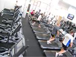 Bulleen Health and Fitness Templestowe Lower Gym Fitness The spacious and fully equipped