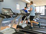 Plus Fitness 24/7 North Epping 24 Hour Gym Fitness Thornleigh gym staff will help