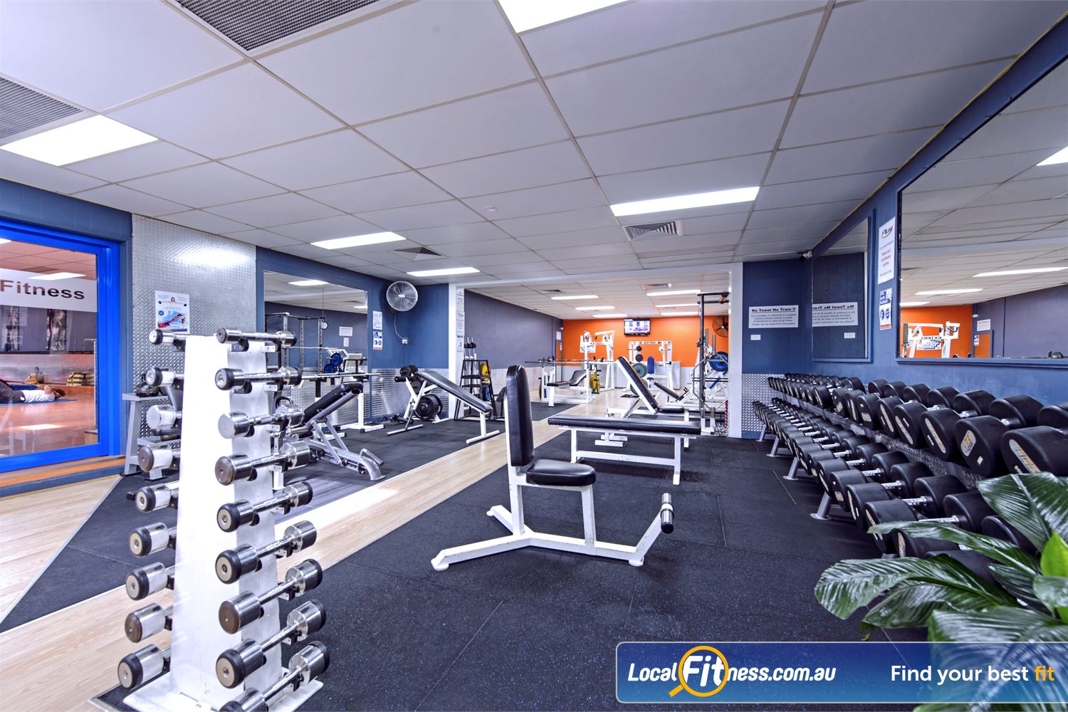 Plus Fitness Health Clubs Northmead Our fully equipped free-weights and strength training area.