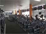 Fit n Fast Shellharbour Shellharbour 24 Hour Gym Fitness Rows of state of the art cardio