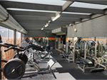 Muscle & Body Shape Gym Balaclava Gym Fitness Access all year round with 24/7