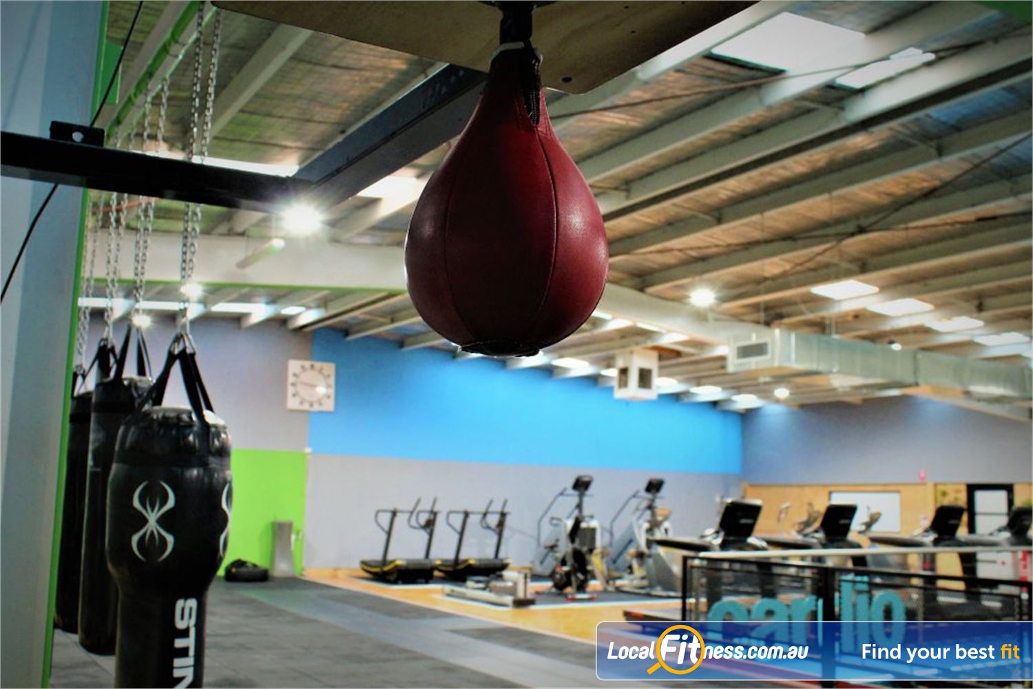 Westgate Health Club Altona North Test your co-ordination with our boxing speed balls.