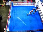 Mischa's Boxing Central Footscray Gym Boxing Features full size boxing ring.