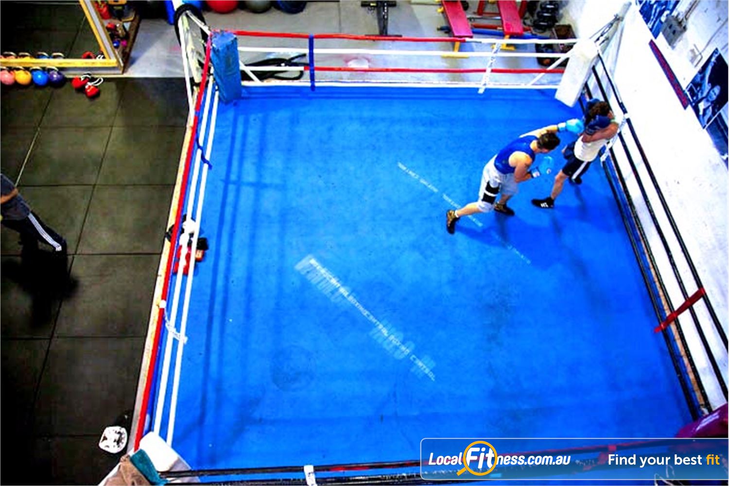 Mischa's Boxing Central Footscray Features full size boxing ring.