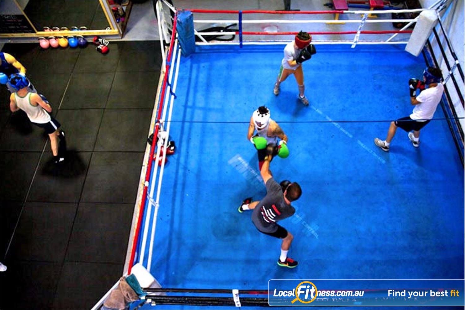 Mischa's Boxing Central Near Kingsville A fully equipped boxing gym with full size boxing ring.